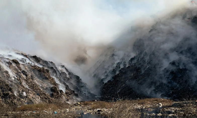 Decizia Curajoasă a Mihaelei de a Scăpa de Influența Toxică a lui Cătălin